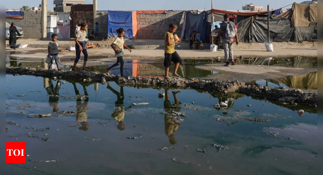 Gaza reports first polio case in decades amid conflict