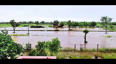 Rajasthan: Torrential rain throws life out of gear in several divisions