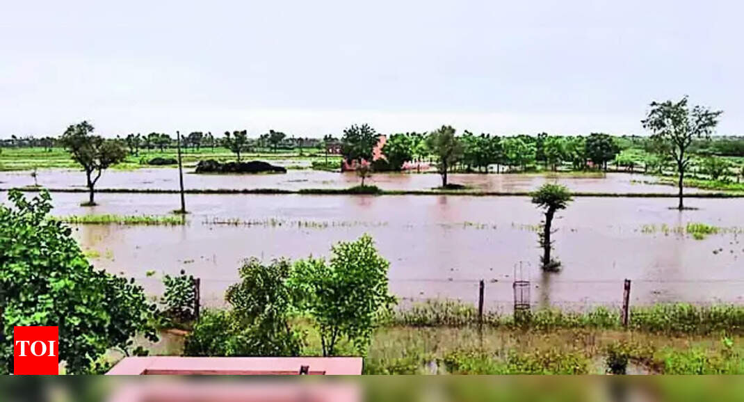 Rajasthan: Torrential rain throws life out of gear in several divisions ...