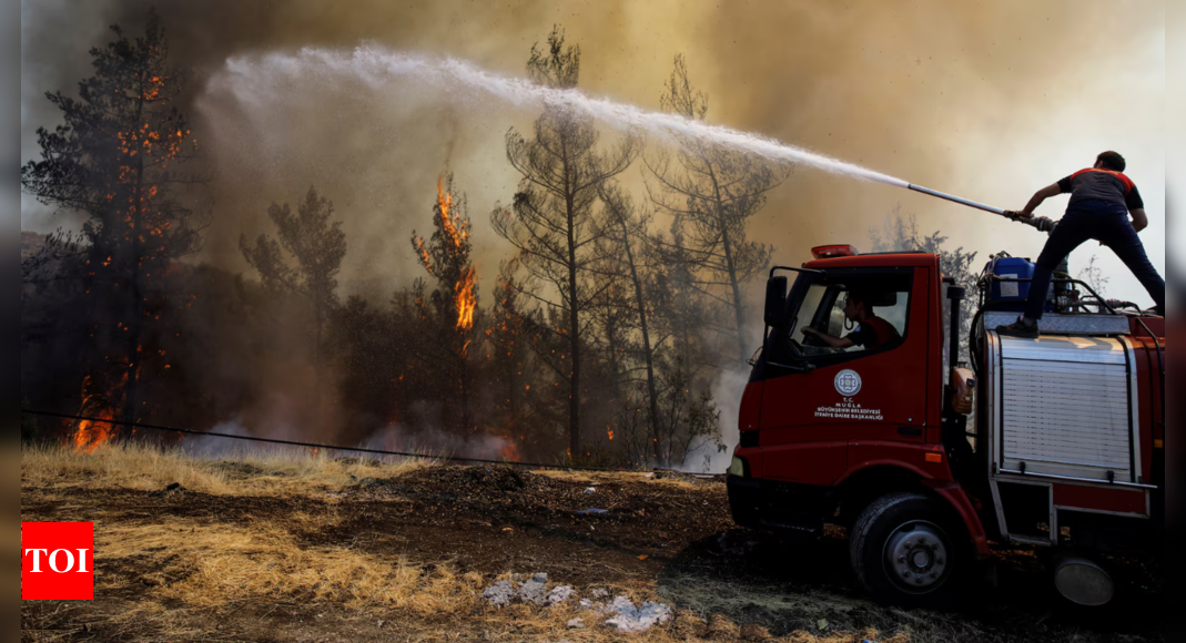 Firefighters battle to contain five wildfires across Turkey – Times of India