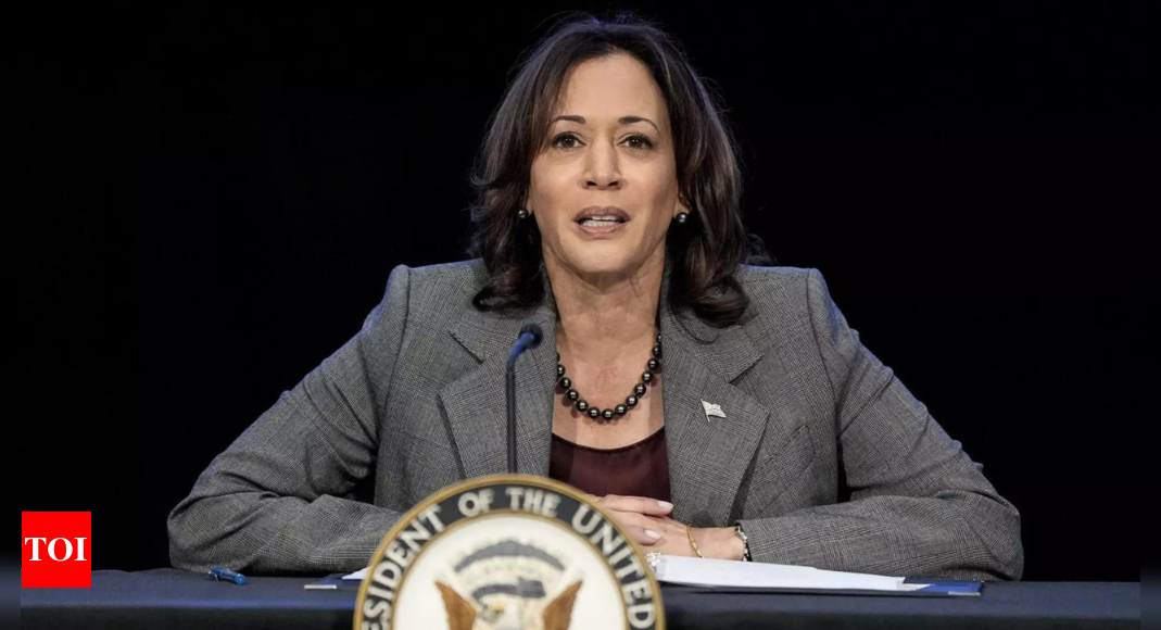 Kamala Harris’ price control plan from day one is met with skepticism by conservatives: “They spent three and a half years raising prices”