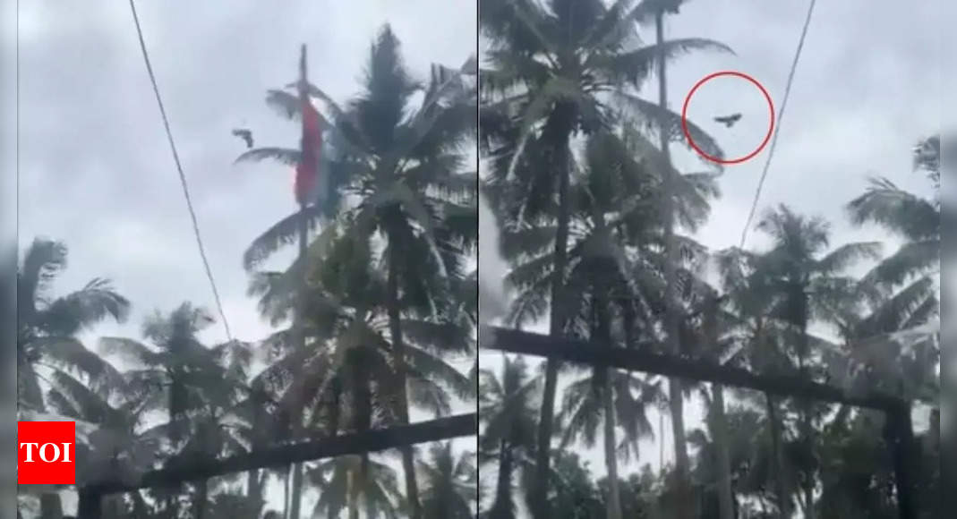 Can a bird unfurl a flag? This is the truth behind the viral video of Kerala's Independence Day flag hoisting | India News