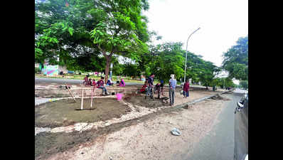 After apology, Noida removes concrete around trees