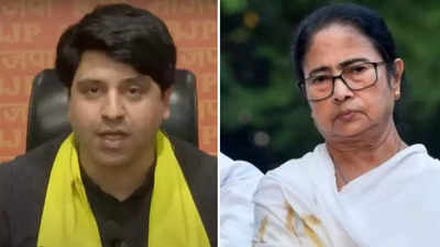 'Will she step down?': BJP hits out at Mamata after TMC neta's 'we will not save' doctors from public wrath remark