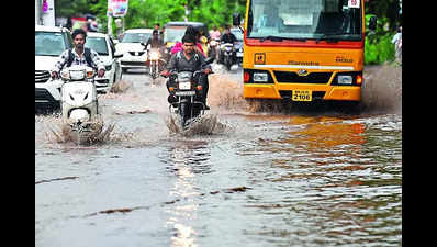 Marathwada sees 33 rain-related deaths since June 1; 16 injured