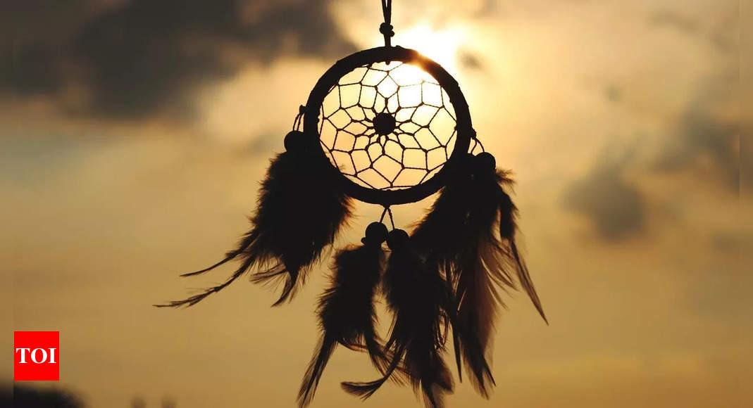 type X common sense Dream Catcher black（The Most Common