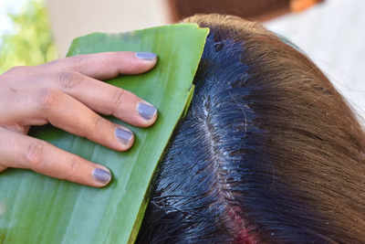 Myth or reality: Does rubbing fresh aloe vera gel regrow hair?