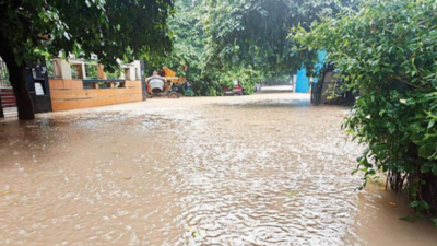 INTERCONTINENTAL EXPRESS トレーラー A-1 約86cm Cratered roads