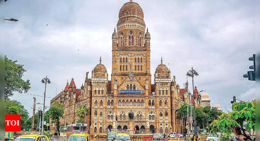 BMC Clerk Recruitment 2024: Registration begins for 1846 Executive Assistant posts, here’s the direct link to apply