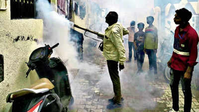 Dengue bites harder than malaria in Ahmedabad