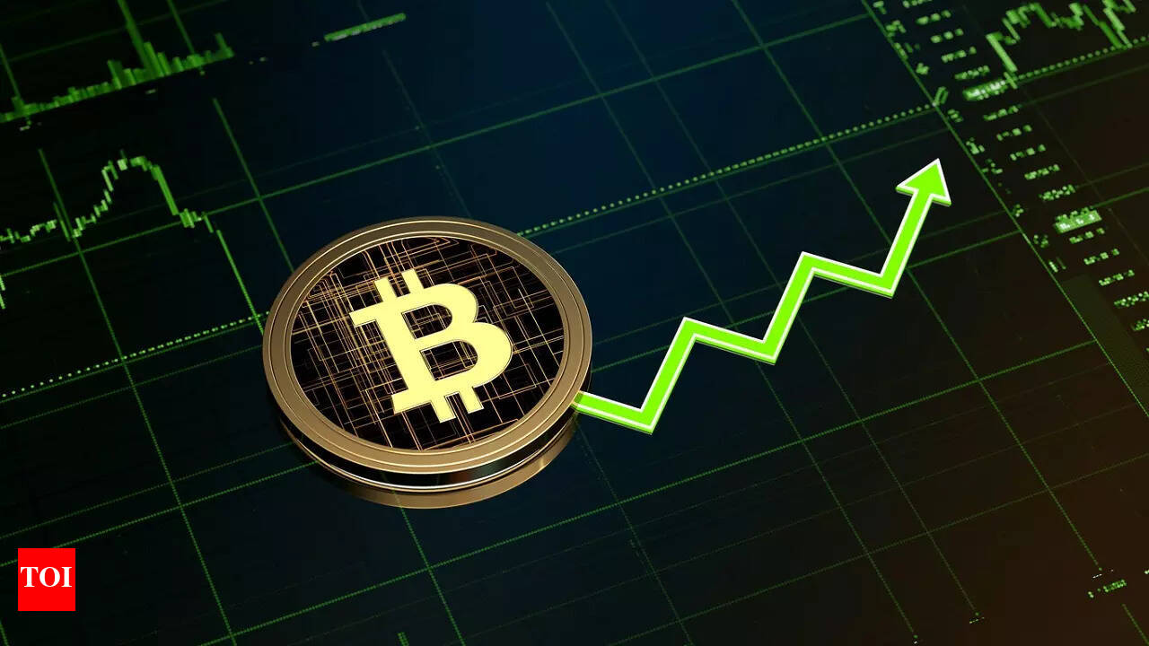 Investor Insights for What Drives XRP Price Volatility?