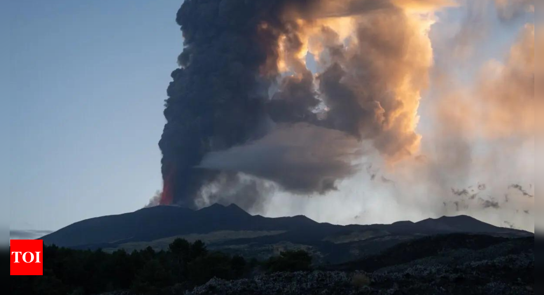 Volcanic eruption grounds flights in New Zealand – Times of India