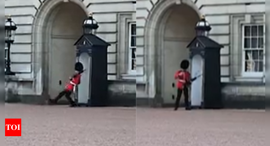 Buckingham Palace guard on duty slips and falls in viral video – Times of India