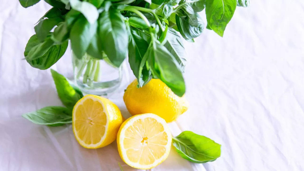 Medicinal uses of lemon leaves best sale