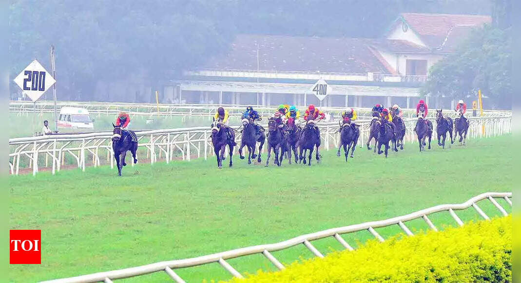 Pune Races: Tehani for Times of India Trophy | More sports News &ndash; Times of India