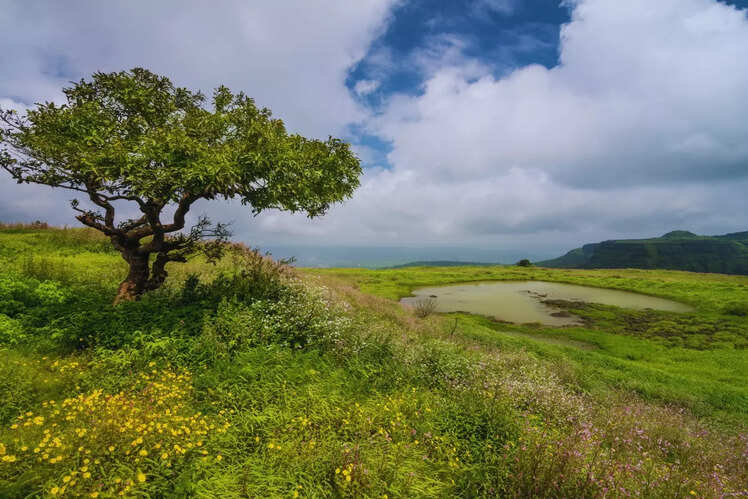 Lonavala, Maharashtra
