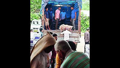 IAF helicopters drop food packets in flood-hit Tripura