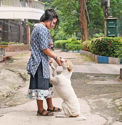 Dogs of Kolkata: Meet the star strays of the city who are stealing hearts