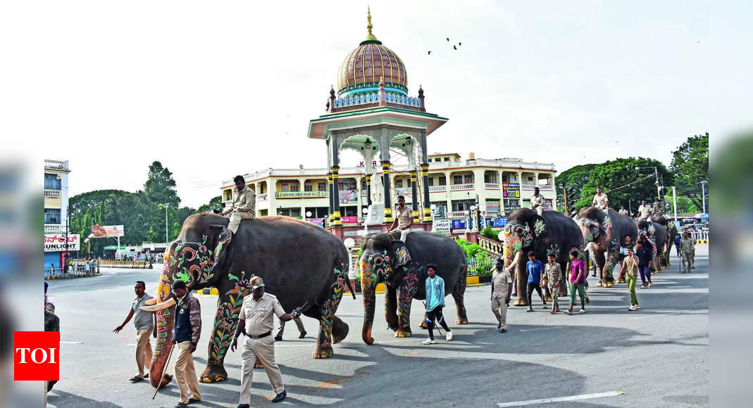 Mysuru Dasara Elephants Undergo Weight Check