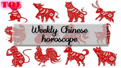 Weekly Chinese Horoscope, August 25 to August 31, 2024; Five Chinese zodiac signs that are lucky