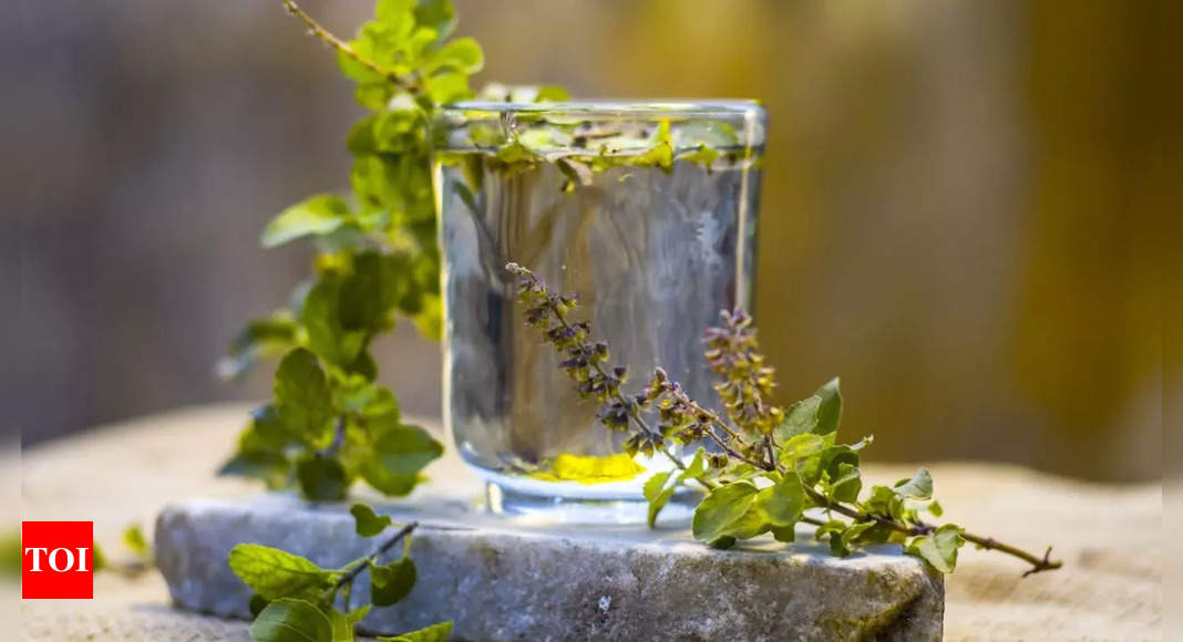 7 reasons to start your day with Tulsi water on an empty stomach