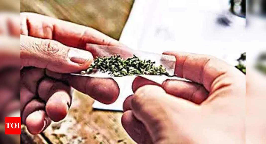 Major Ganja Seizures Across Andhra, Tamil Nadu