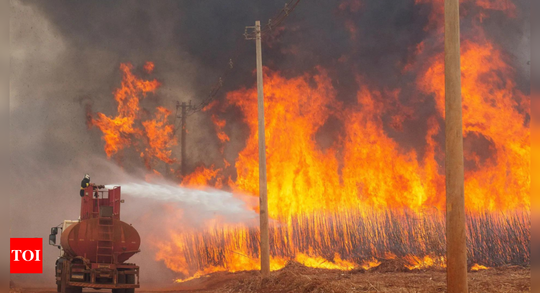 Brazil waging ‘war’ on wildfires in crowded Sao Paulo state