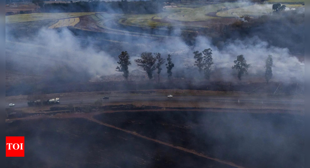 Wildfires rage in Brazil, two dead, cities on high alert