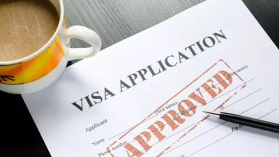 Visa application numbers in India surpass pre-Covid levels: VFS Global