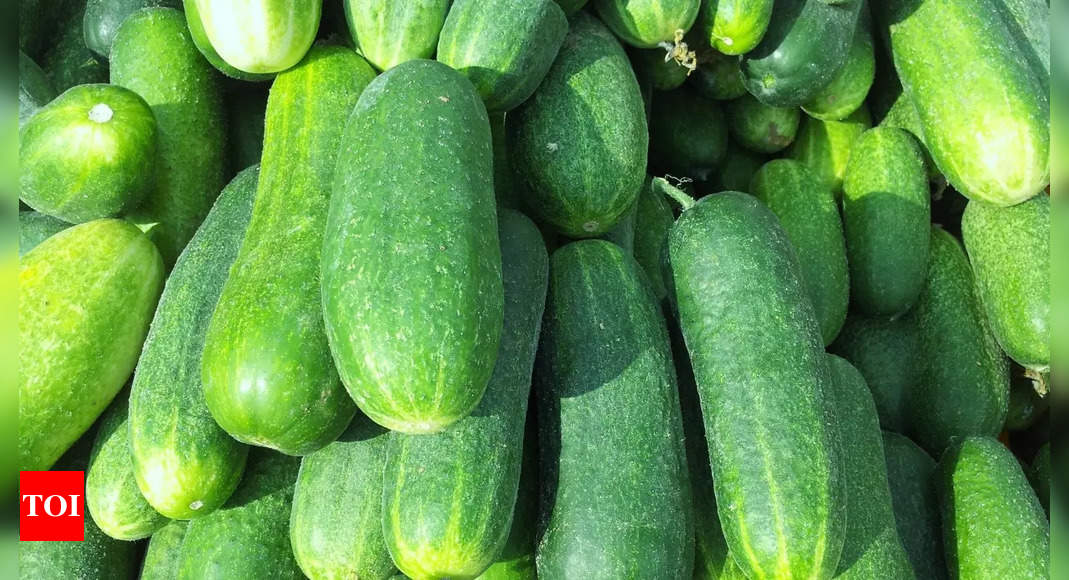 Significance of Cucumber in Janmashtami Celebrations |