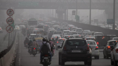 Pollution leading to rise in mortality risk across all age groups, says study