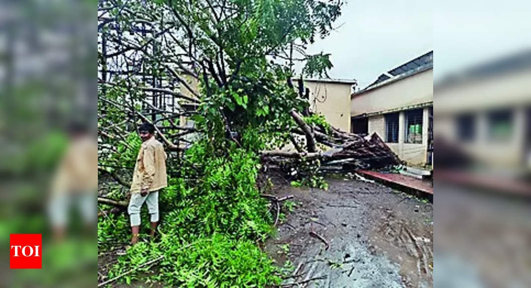 Severe Flooding and Rains Impact Gujarat and Pakistan