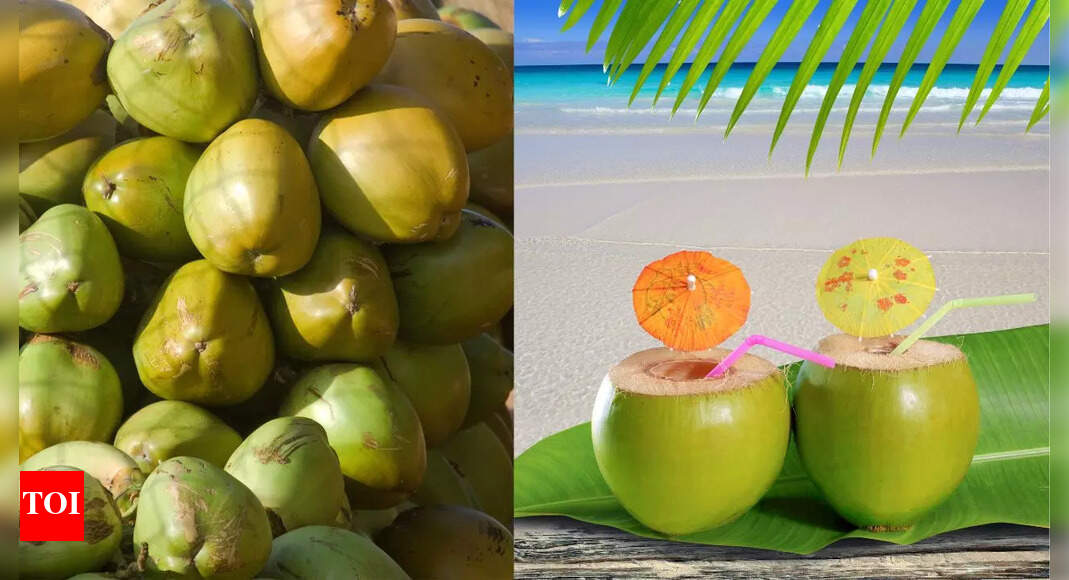 Coconut Water Side Effects Why should men avoid drinking too much coconut water? Times of India