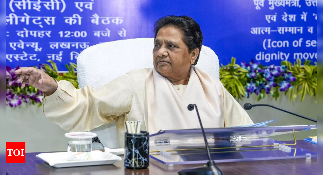 Mayawati Re-elected BSP President, Refutes Retirement