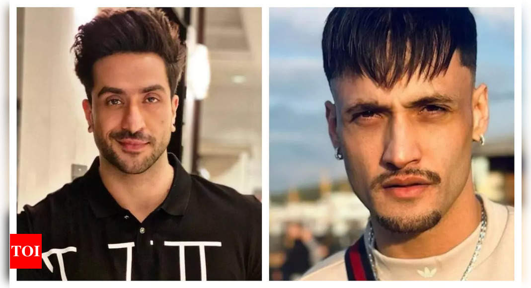 Aly Goni Defends Asim Riaz on Khatron Ke Khiladi