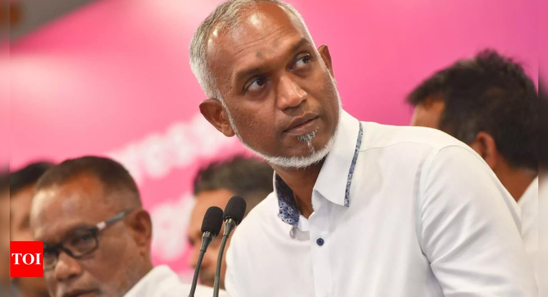 Muizzu says bid to topple govt, cites main bank’s curbs on dollar spending – Times of India