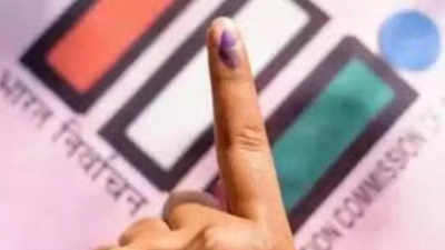 Gurgaon's electorate rises by 16k voters, now stands at 14.9L