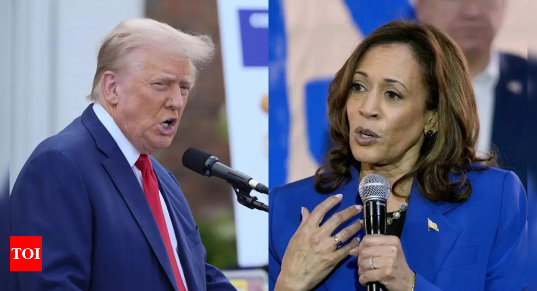 Trump campaign fires back at ‘preposterous’ Harris border wall narrative post media report: ‘Total bulls**t’ – Times of India