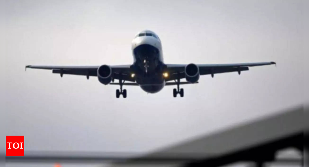 Drones Disrupt Flights at Amritsar Airport