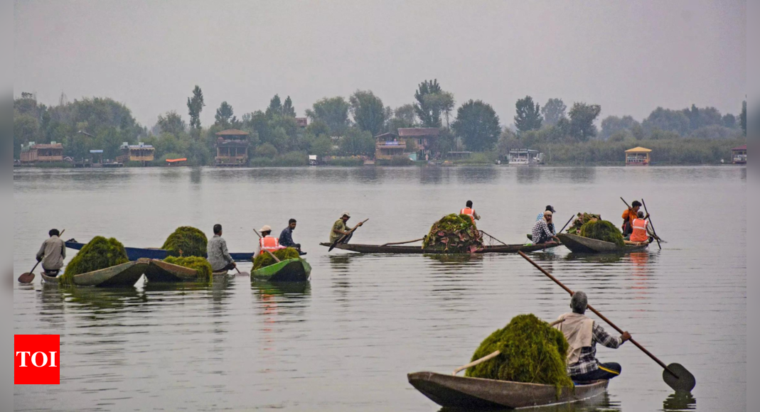 National Green Tribunal Investigates Dal Lake Pollution