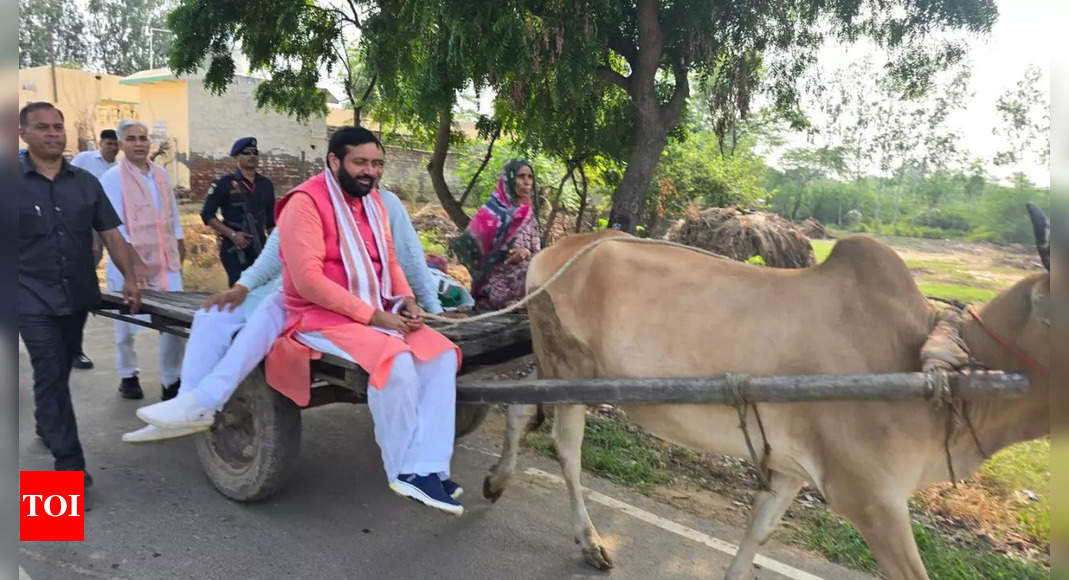 Haryana CM rides bullock cart