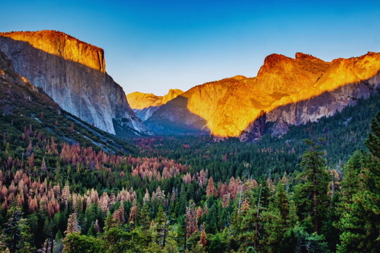 Yosemite National Park, California