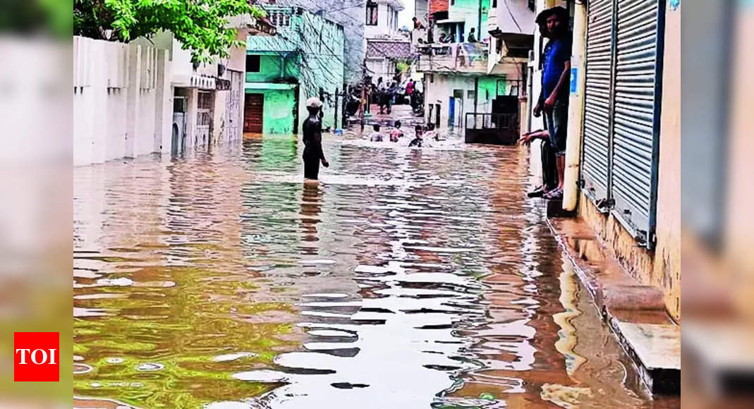 Gujarat Dams and Maharashtra Water Levels Rise