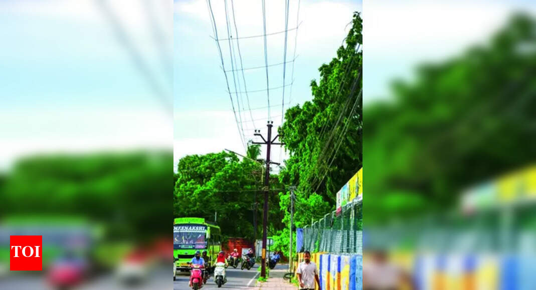 Live Wire Snapping: Deaths from Snapping Power Conductors in Tamil Nadu ...