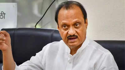 BJP, oppn spar over Shivaji statue, Ajit Pawar 'sorry' for collapse