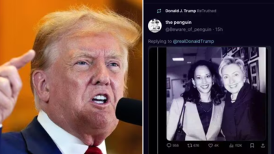 US elections: Donald Trump reposts a vulgar remark about Kamala ...