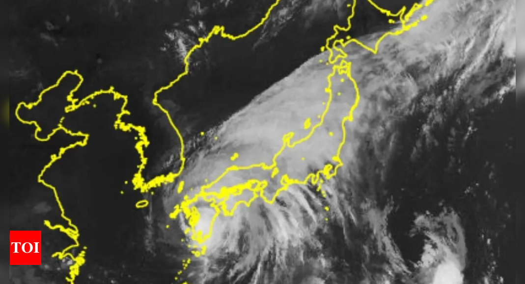 Typhoon Shanshan: ‘Highest-level warnings’ issued as Typhoon Shanshan makes landfall in Japan | World News – Times of India