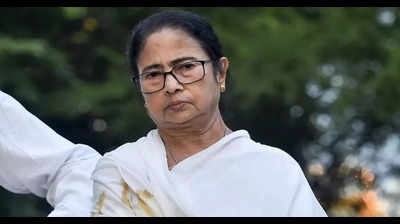 'If Bengal burns' controversy: CM Mamata Banerjee face backlash from BJP and CMs for threatening northeast, doctors