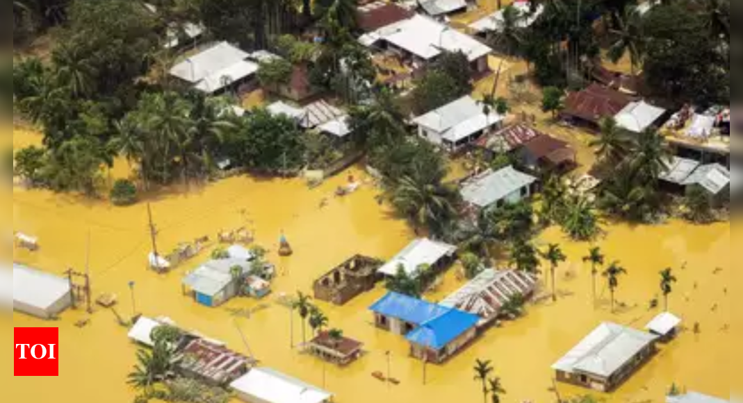 Tripura Declares State Natural Calamity Amid Floods