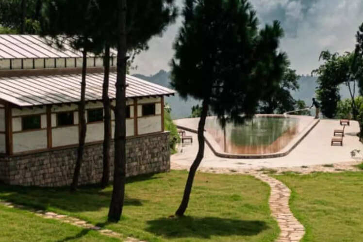 Amaya
